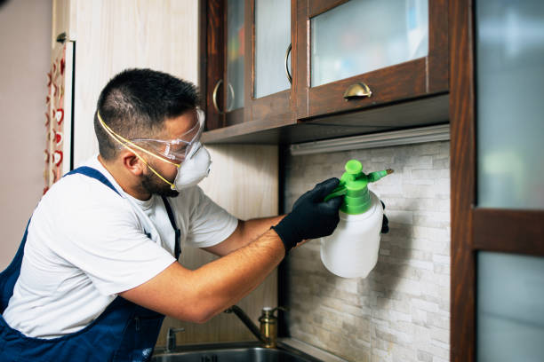 Best Pest Prevention Services  in West Fargo, ND