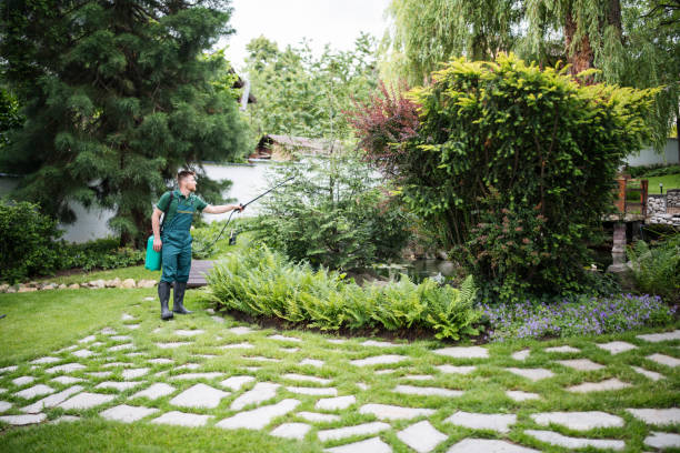 Trusted West Fargo, ND Pest Control Experts