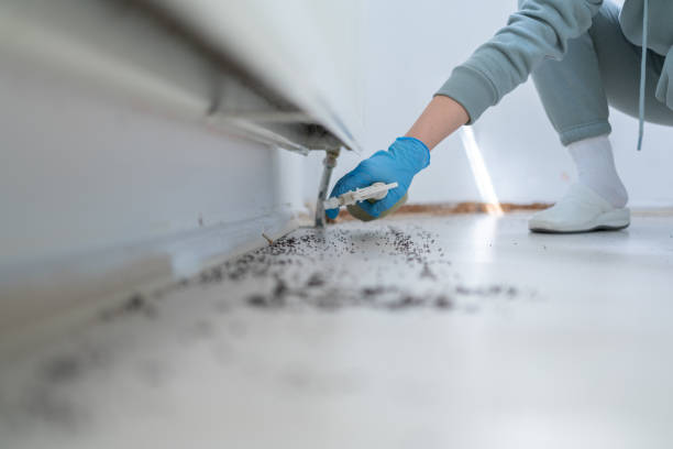 Best Wasp Removal Services  in West Fargo, ND