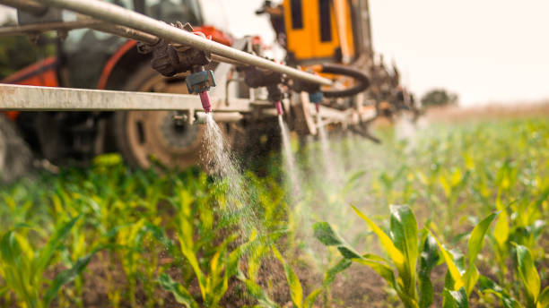 Best Pest Control Near Me  in West Fargo, ND